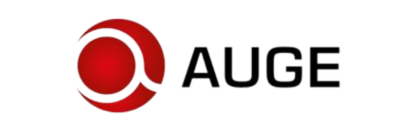 AUGE Logotipo COR PNG